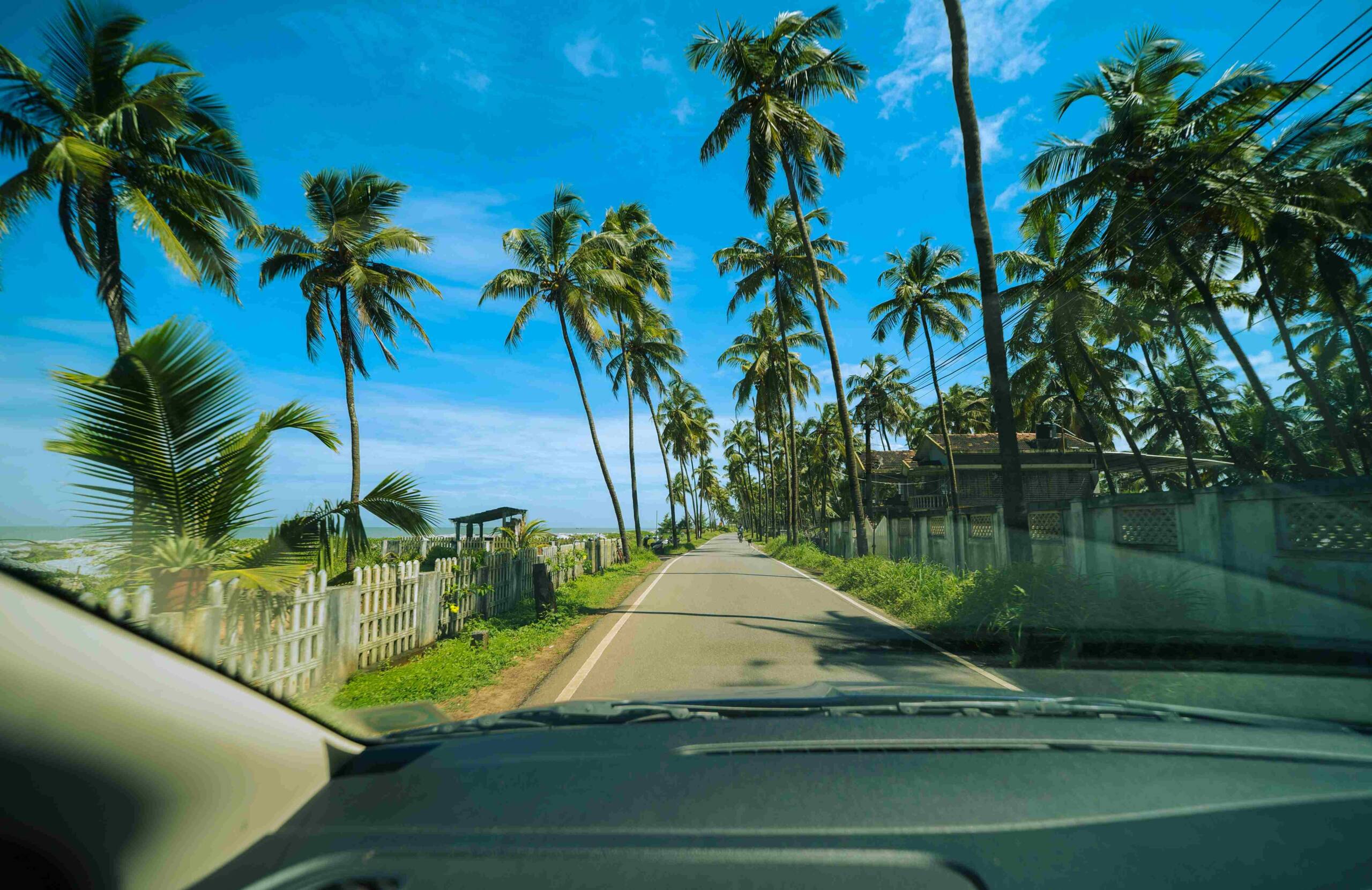 Local City Trips